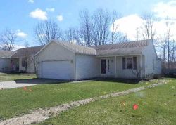 Pre-foreclosure Listing in FOREST PARK DR LAGRANGE, OH 44050