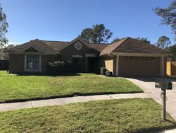 Pre-foreclosure in  PEBBLE GLEN AVE Tampa, FL 33647
