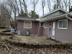Pre-foreclosure Listing in N LAKESIDE DR COAL CITY, IL 60416
