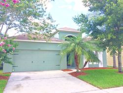 Pre-foreclosure in  RIBBON FALLS PKWY Orlando, FL 32824