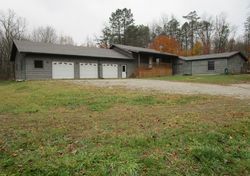 Pre-foreclosure in  WOLF RD Reading, MI 49274