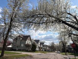 Pre-foreclosure in  TREADWAY AVE Cleveland, OH 44109