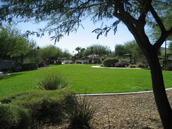 Pre-foreclosure in  TRAVELING BREEZE AVE UNIT 103 Las Vegas, NV 89178