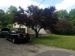 Pre-foreclosure in  LONG ISLAND AVE Medford, NY 11763