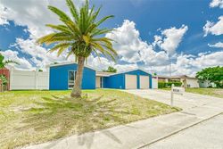 Pre-foreclosure in  LAKE CHRISE LN Port Richey, FL 34668