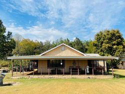 Pre-foreclosure Listing in NEWTON SPRINGS RD HECTOR, AR 72843