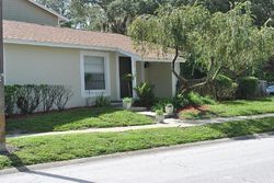 Pre-foreclosure in  MORNING DR Lutz, FL 33559