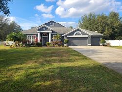 Pre-foreclosure in  CREEK RUN DR Riverview, FL 33579