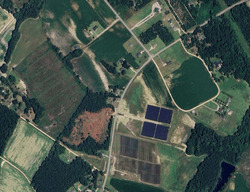 Pre-foreclosure in  MILLERS RD Mullins, SC 29574