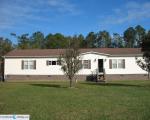 Pre-foreclosure Listing in COPPERHEAD RD NW LONGWOOD, NC 28452