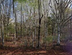  Trafton Rd, Camden NC