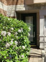Pre-foreclosure in  N GREENVIEW AVE APT M Chicago, IL 60614