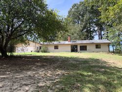 Pre-foreclosure in  HIGHWAY 387 W Chidester, AR 71726