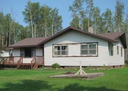 Pre-foreclosure Listing in HIGHWAY 65 BRITT, MN 55710
