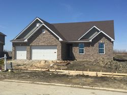Pre-foreclosure in  S MUELLER CIR Plainfield, IL 60586