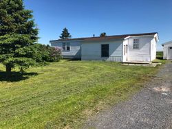 Pre-foreclosure in  MARTIN RD N Evans Mills, NY 13637