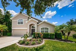 Pre-foreclosure in  COLONY LAKES BLVD New Port Richey, FL 34654