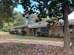 Pre-foreclosure Listing in DILL RD MANTACHIE, MS 38855