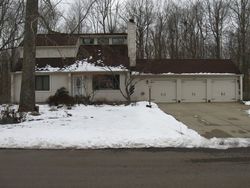 Pre-foreclosure in  DUNDEE DR Grand Ledge, MI 48837