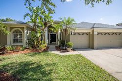 Pre-foreclosure in  WINHAWK WAY Lutz, FL 33558