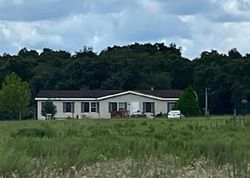 Pre-foreclosure Listing in NW 67TH CT BELL, FL 32619