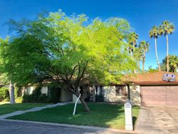 Pre-foreclosure in  S BRAHMA LN Yuma, AZ 85364