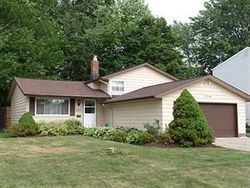 Pre-foreclosure in  WATERBURY DR Eastlake, OH 44095