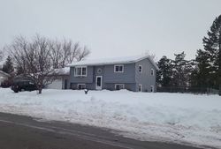 Pre-foreclosure in  PORTER ST Clearwater, MN 55320