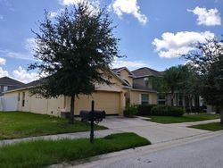 Pre-foreclosure in  ROYAL PINES AVE Riverview, FL 33579