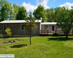 Pre-foreclosure Listing in COUNTY ROAD 800 N BLUFORD, IL 62814