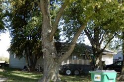 Pre-foreclosure in  E 206TH ST Noblesville, IN 46060