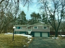 Pre-foreclosure in  HAY CREEK TRL Red Wing, MN 55066