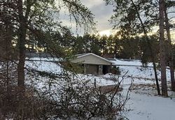 Pre-foreclosure Listing in WIRE LINE RD CARO, MI 48723