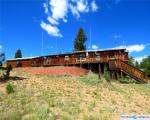 Pre-foreclosure in  SHAVANO DR Florissant, CO 80816