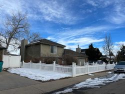 Pre-foreclosure in  ROCHESTER DR Windsor, CO 80550