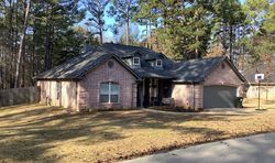 Pre-foreclosure in  SHADY LN Flint, TX 75762