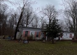 Pre-foreclosure in  DAVE SMITH RD Ekron, KY 40117