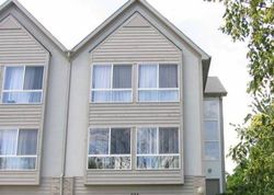 Pre-foreclosure Listing in WALNUT ST MUNDELEIN, IL 60060