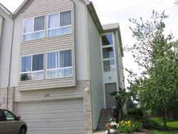 Pre-foreclosure Listing in WALNUT ST MUNDELEIN, IL 60060