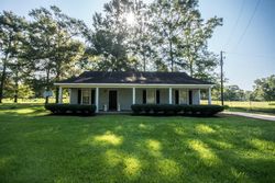 Pre-foreclosure in  ALVER MILLER RD Chunchula, AL 36521