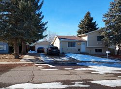 Pre-foreclosure in  E 81ST PL Denver, CO 80229