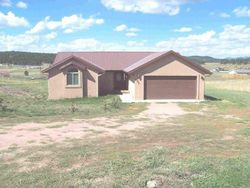 Pre-foreclosure in  DUESOUTH RD Florissant, CO 80816