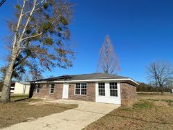 Pre-foreclosure Listing in HICKORY CT WEBB, AL 36376