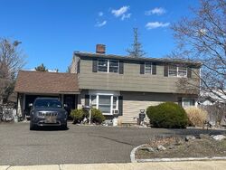 Pre-foreclosure in  SCOOTER LN Hicksville, NY 11801