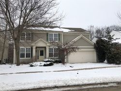 Pre-foreclosure in  W BROOKS FARM RD Round Lake, IL 60073