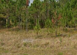 Pre-foreclosure in  MUNDELL AVE Sebring, FL 33870