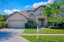 Pre-foreclosure in  NORTHFIELD DR Tarpon Springs, FL 34688