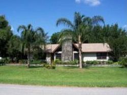 Pre-foreclosure in  TOMOKA RUN Lakeland, FL 33810