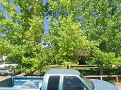 Pre-foreclosure in  N MARSHAL TRL Cedar City, UT 84721