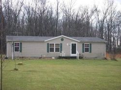 Pre-foreclosure Listing in STATE ROUTE 286 SARDINIA, OH 45171